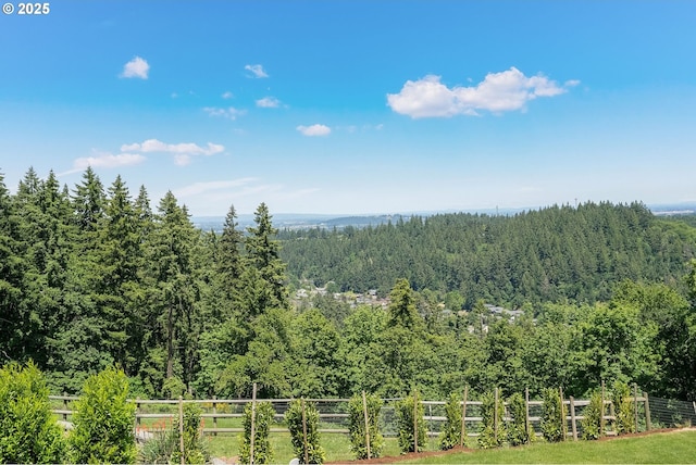 4040 Victor Point Rd NE, Silverton, OR 97381 - view of mountain background with a forest