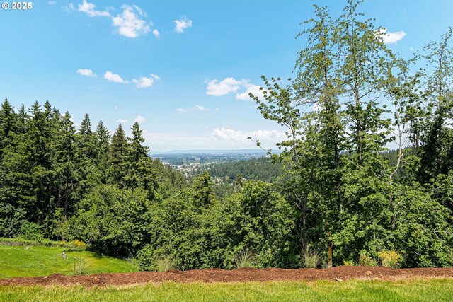 4040 Victor Point Rd NE, Silverton, OR 97381 - mountain view featuring a heavily wooded area