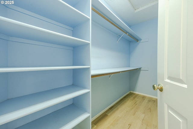 3618 Sterling Woods Dr, Eugene, OR 97408 - walk in closet with light wood-type flooring