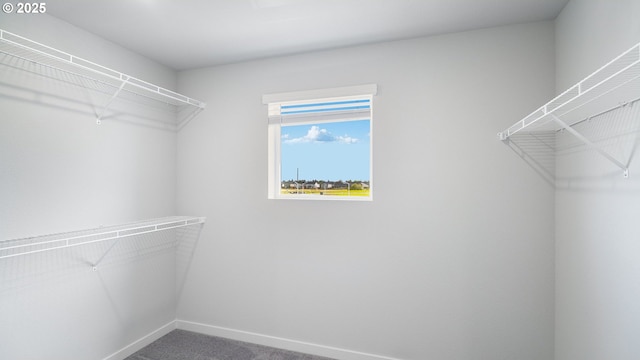 walk in closet featuring carpet floors