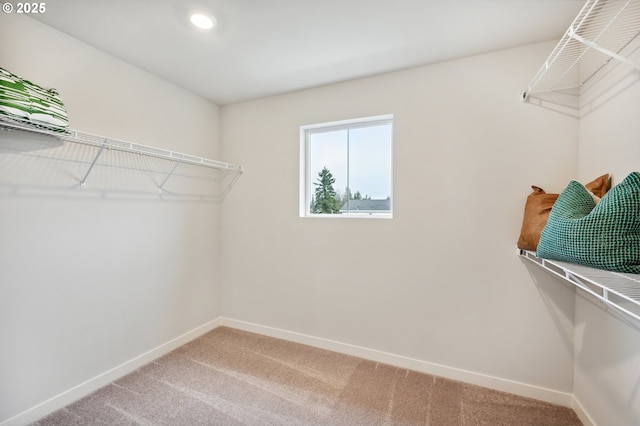 walk in closet featuring light carpet