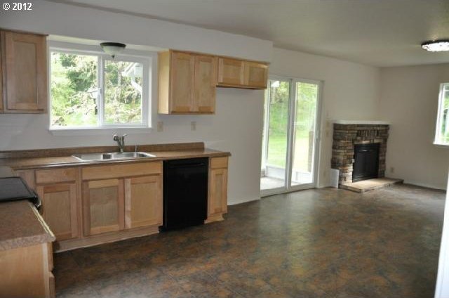 kitchen with plenty of natural light, dishwasher, a stone fireplace, and a sink