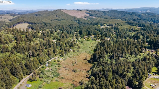 aerial view of property's location with a heavily wooded area and a mountain backdrop