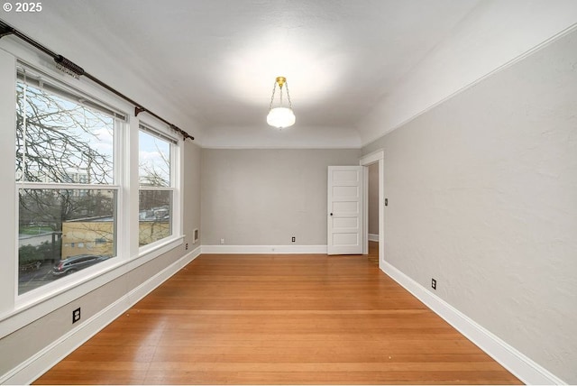 spare room with wood-type flooring