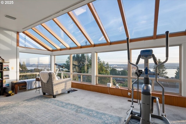 sunroom with lofted ceiling