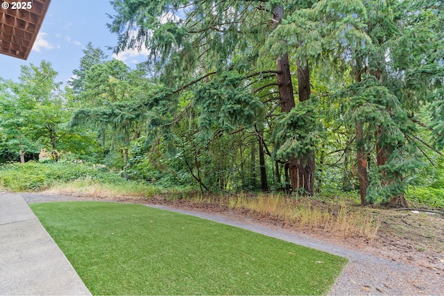 28340 SW Mcgraw Ave, Wilsonville, OR 97070 - view of green lawn