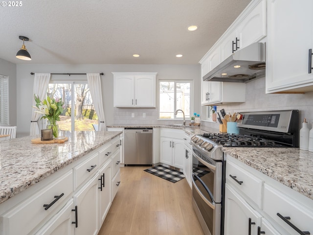 kitchen featuring appliances with stainless steel finishes, a wealth of natural light, light wood-style floors, and under cabinet range hood