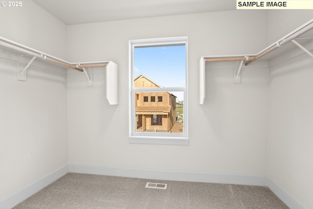 8276 SE Orion Ln, Hillsboro, OR 97123 - walk in closet with carpet flooring