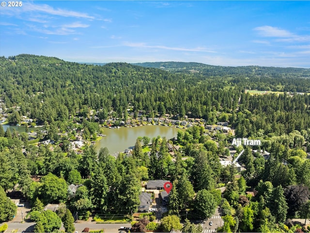 4480 Upper Dr, Lake Oswego, OR 97035 - drone / aerial view of a forest and a nearby body of water