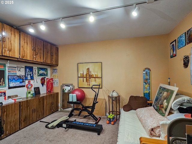 10059 SW 57th Pl, Portland, OR 97219 - workout room with track lighting and light colored carpet