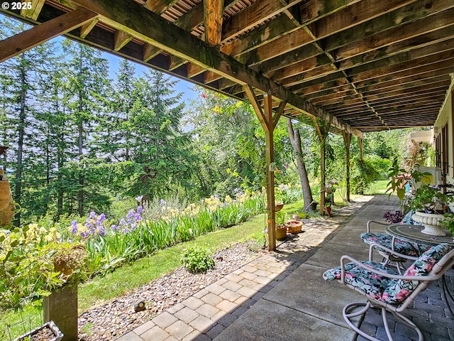10059 SW 57th Pl, Portland, OR 97219 - view of patio / terrace