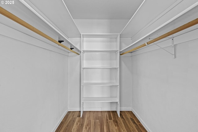 spacious closet featuring dark hardwood / wood-style flooring