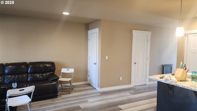 living room featuring light hardwood / wood-style floors