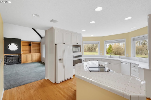 kitchen featuring a sink, stainless steel appliances, plenty of natural light, and a fireplace