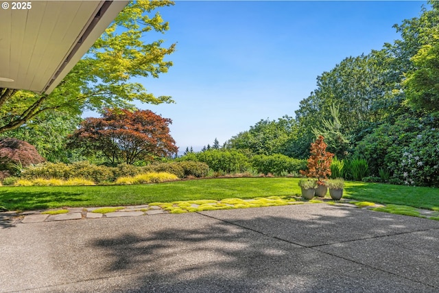 3925 SW Humphrey Blvd, Portland, OR 97221 - view of patio / terrace