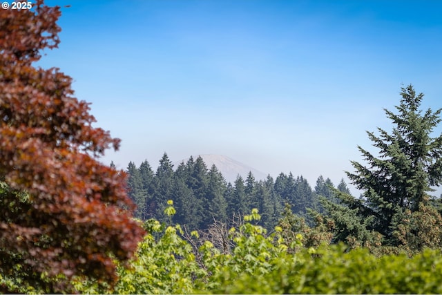 3925 SW Humphrey Blvd, Portland, OR 97221 - view of mountain backdrop with a heavily wooded area