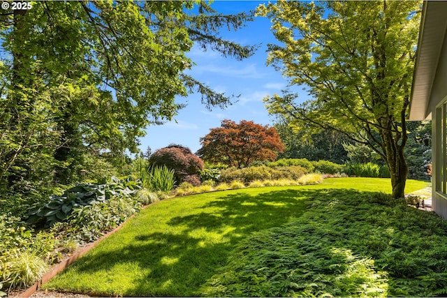 3925 SW Humphrey Blvd, Portland, OR 97221 - view of green lawn
