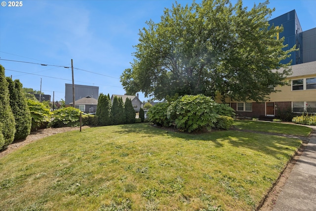 1411 N Alberta St Unit 1, Portland, OR 97035 - view of green lawn