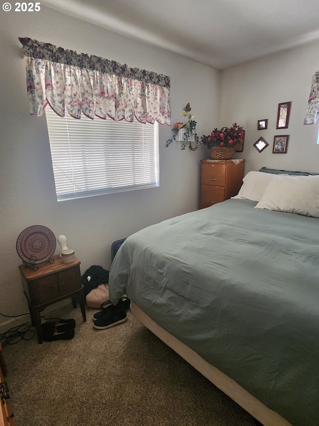 1386 Richardson Rd, Myrtle Creek, OR 97457 - view of carpeted bedroom