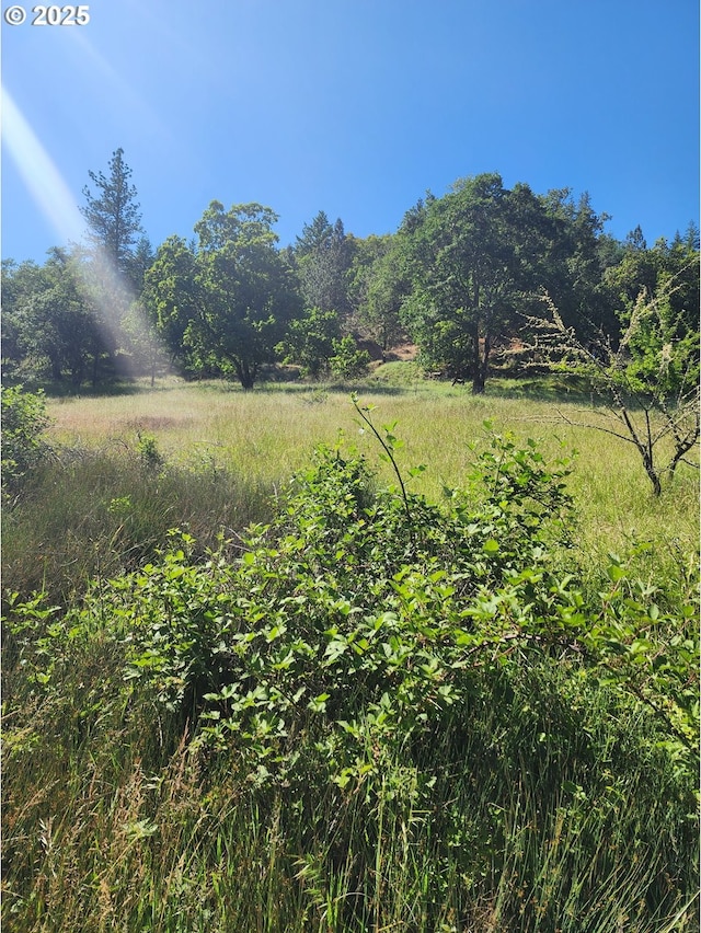 1386 Richardson Rd, Myrtle Creek, OR 97457 - view of yard featuring a rural view