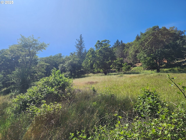1386 Richardson Rd, Myrtle Creek, OR 97457 - view of nature