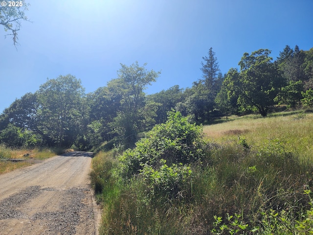 1386 Richardson Rd, Myrtle Creek, OR 97457 - view of dirt / gravel road with a wooded view
