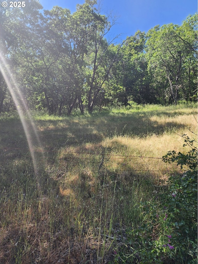 1386 Richardson Rd, Myrtle Creek, OR 97457 - view of undeveloped land