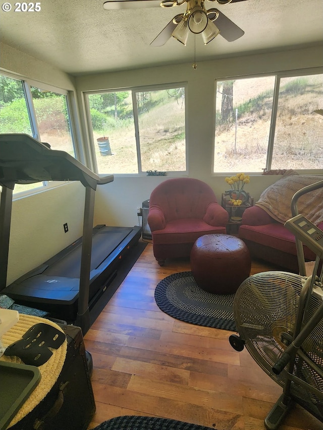 1386 Richardson Rd, Myrtle Creek, OR 97457 - sunroom featuring healthy amount of natural light