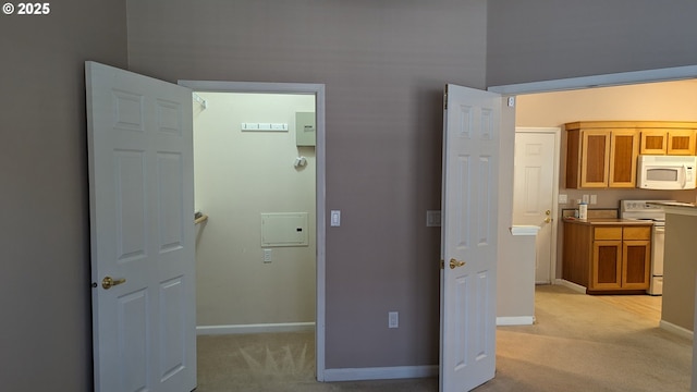 interior space with baseboards and light colored carpet