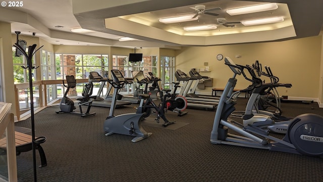 gym featuring a ceiling fan, a tray ceiling, and carpet