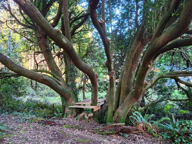 Orchard Rd Lot # 3, Port Orford, OR 97465