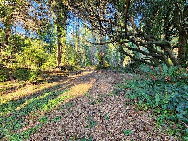 Orchard Rd Lot # 3, Port Orford, OR 97465