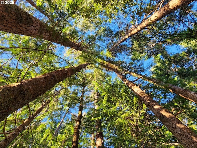 Orchard Rd Lot # 3, Port Orford, OR 97465