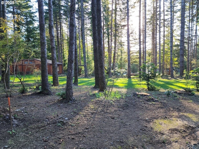 Orchard Rd Lot # 3, Port Orford, OR 97465