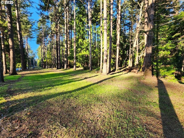 Orchard Rd Lot # 3, Port Orford, OR 97465