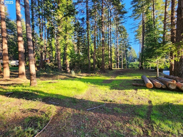 Orchard Rd Lot # 3, Port Orford, OR 97465
