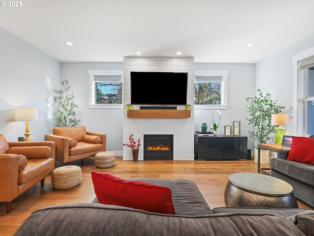 living room with hardwood / wood-style flooring and a fireplace