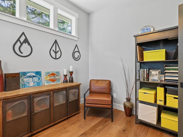 sitting room featuring light hardwood / wood-style floors