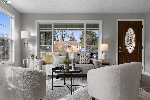 living room featuring wood finished floors, baseboards, and a textured ceiling