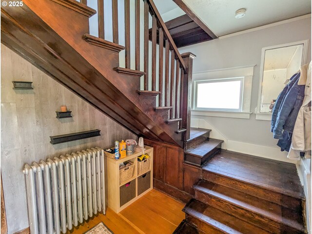 stairs featuring radiator, wood finished floors, and wooden walls