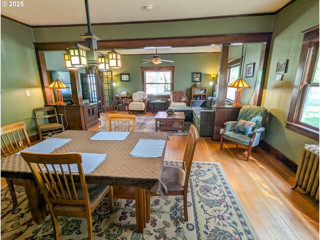 dining area featuring light wood-style floors, healthy amount of natural light, crown molding, ceiling fan, and radiator heating unit