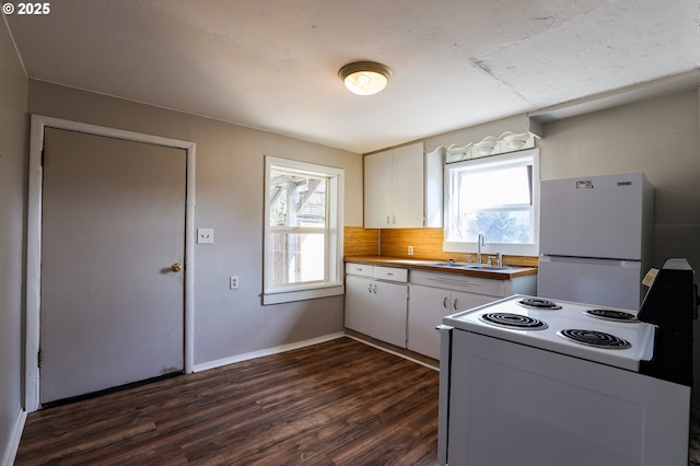 kitchen with a healthy amount of sunlight, white appliances, dark wood-style floors, and a sink