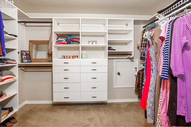 1761 S 18th Cir, Ridgefield, WA 98642 - spacious closet with carpet