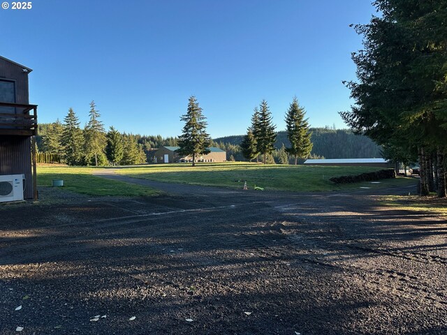 view of yard with an outdoor structure and a garage