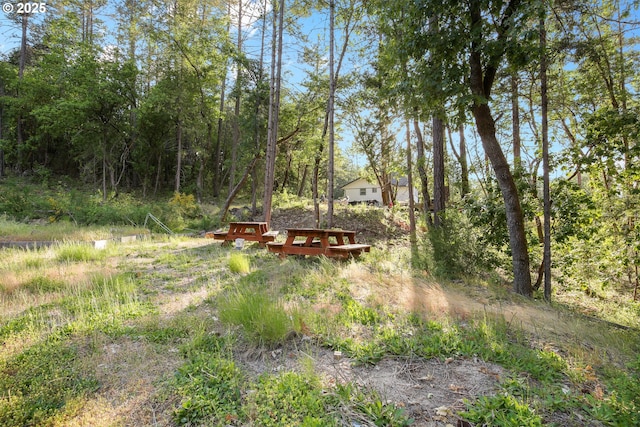 4247 Redwood Hwy, Grants Pass, OR 97527 - view of yard