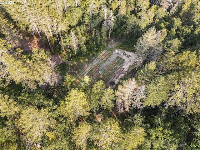 4247 Redwood Hwy, Grants Pass, OR 97527 - drone / aerial view