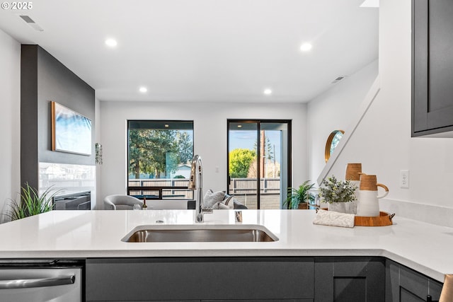 kitchen with sink and stainless steel dishwasher