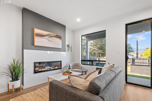 living room with light hardwood / wood-style floors