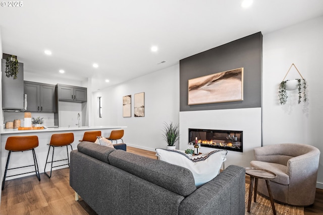 living room featuring dark hardwood / wood-style floors and sink