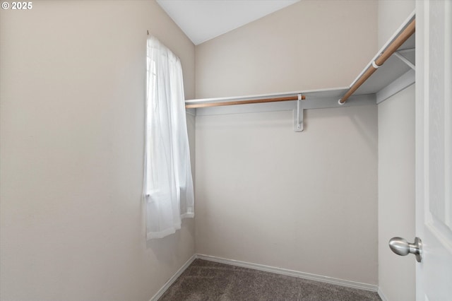 walk in closet with vaulted ceiling and dark colored carpet